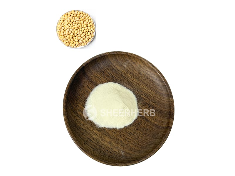 Bubuk protein kedelai