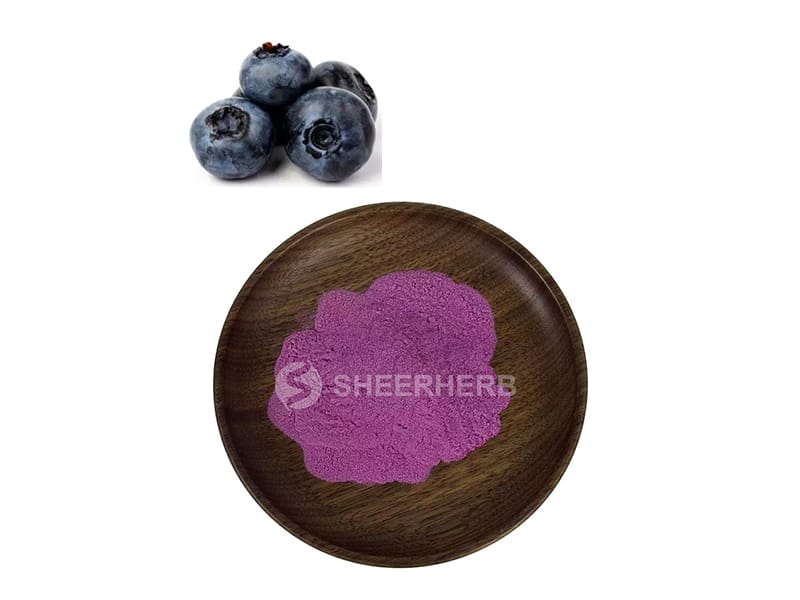Bubuk jus blueberry
