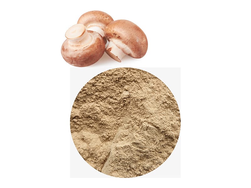 Bubuk shiitake
