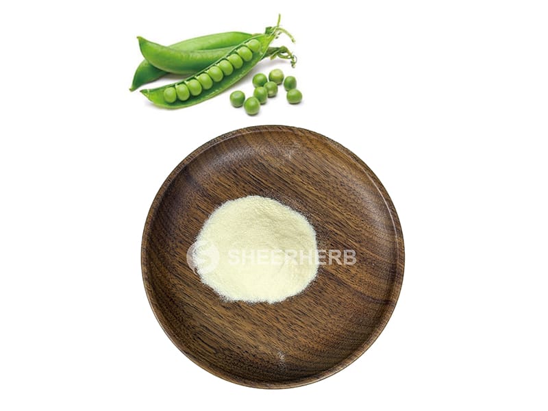 Bubuk protein kacang polong