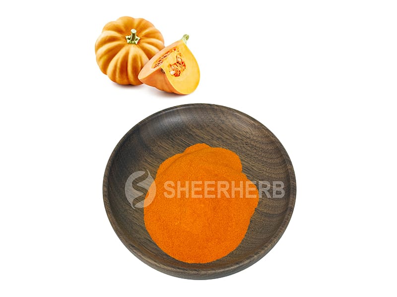 Pumpkin Powder