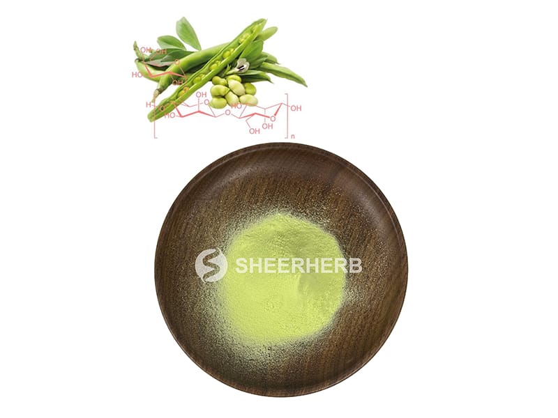Bubuk guar gum