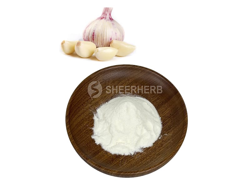 Garlic Powder Manufacturer