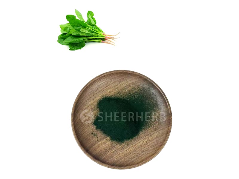 Spinach Powder