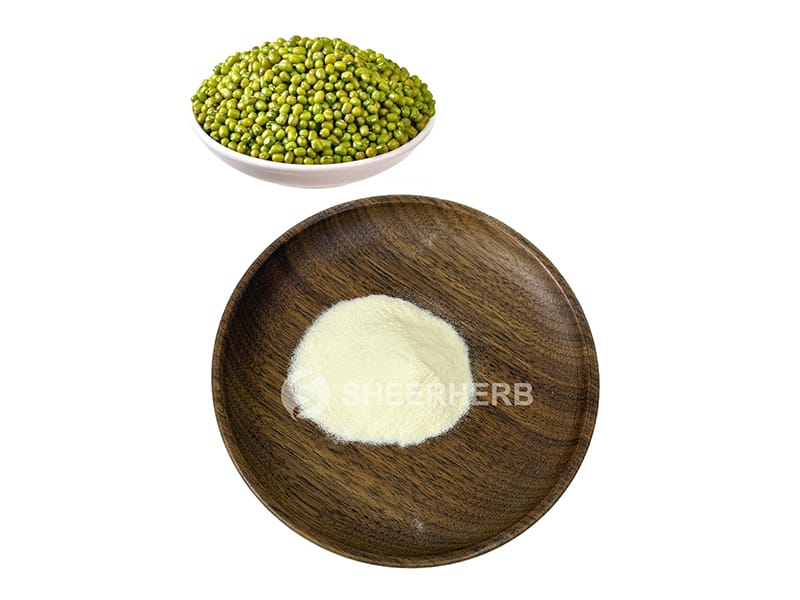 Bubuk protein kacang hijau