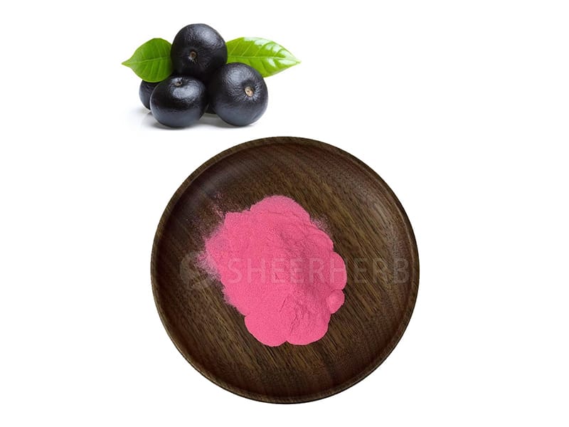 Bubuk acai