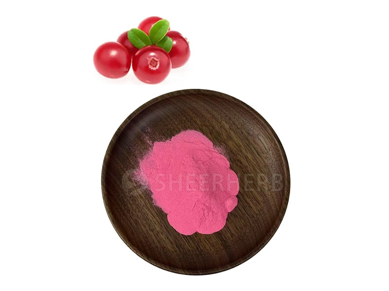 Bubuk cranberry
