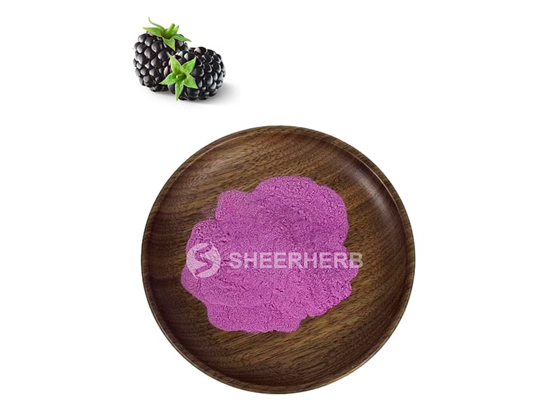 Bubuk blackberry