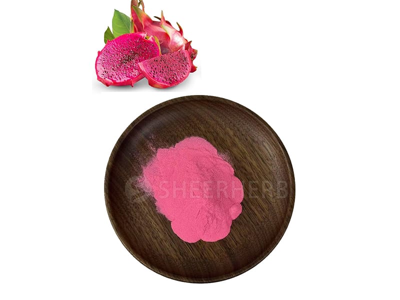 Bubuk buah naga beku-kering
