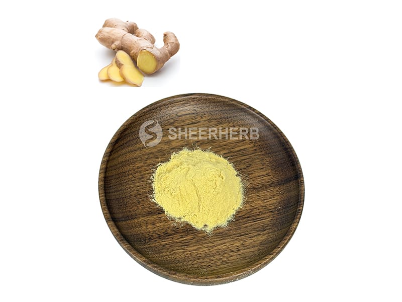 Ginger Powder
