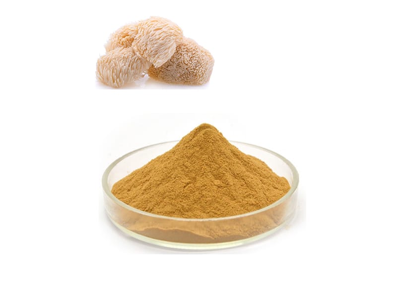 Bubuk lion’s mane
