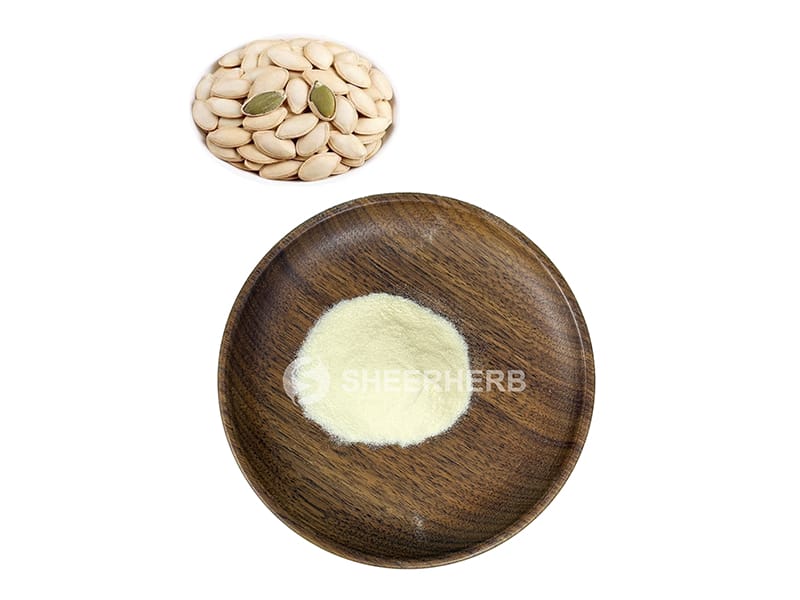 Bubuk protein biji labu