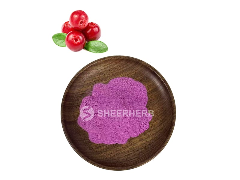 Bilberry Powder